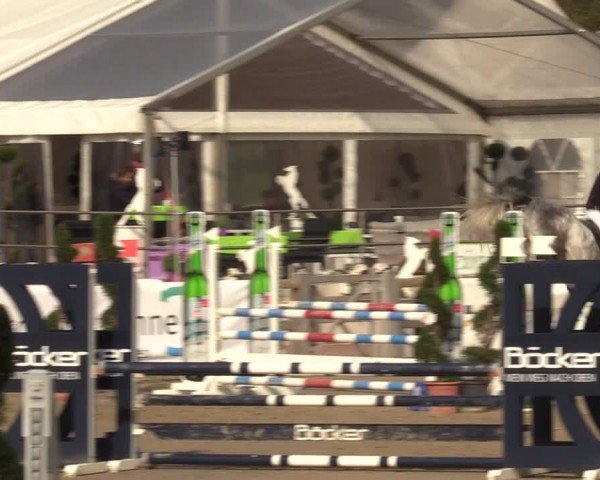 Reitturnier Werne-Lenklar 2024