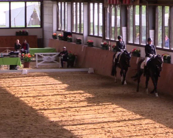 Reitturnier Werne-Lenklar 2024