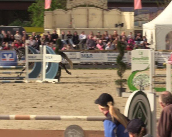 Lenklarer Reitertage Werne 2024