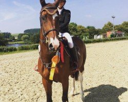 jumper Donnersberger's Chocolate Girl (German Sport Horse, 2015, from Donnersberger)