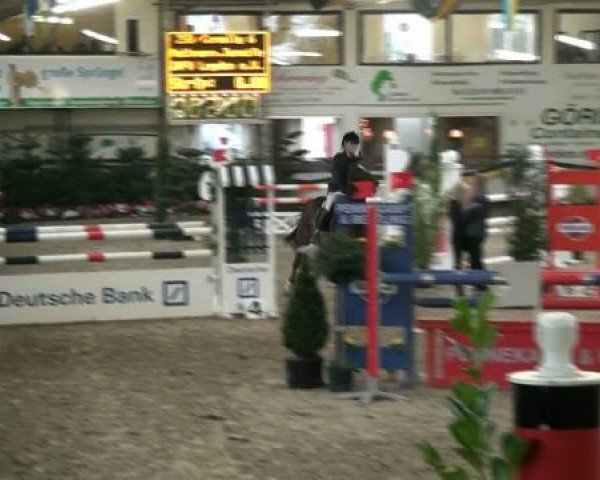 20. Grosses Hallen Springturnier in Vreden