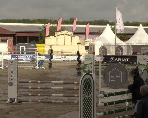 Reitturnier Werne-Lenklar 2024
