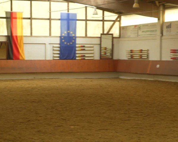 Reitturnier Bottrop 2024