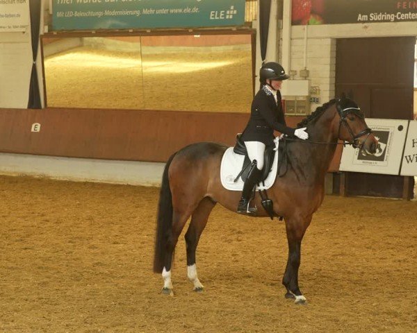 Reitturnier Bottrop 2024