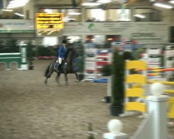 20. Grosses Hallen Springturnier in Vreden