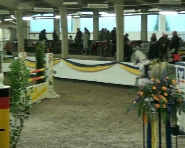 20. Grosses Hallen Springturnier in Vreden