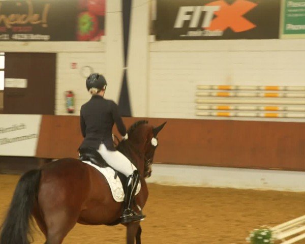 Reitturnier Bottrop 2024