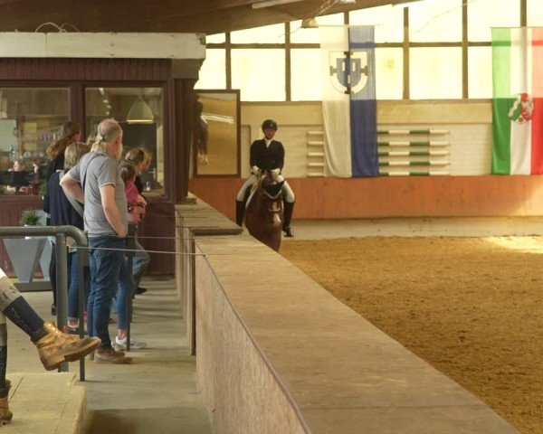 Reitturnier Bottrop 2024
