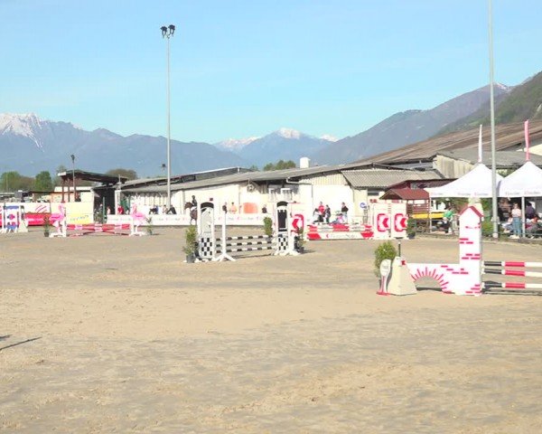 Reitturnier Giubiasco 2024