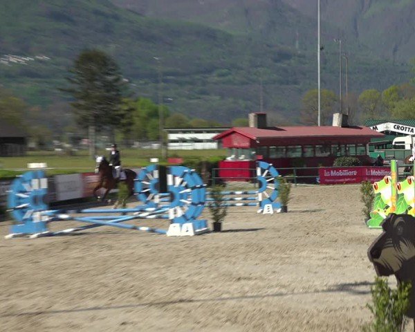 Reitturnier Giubiasco 2024