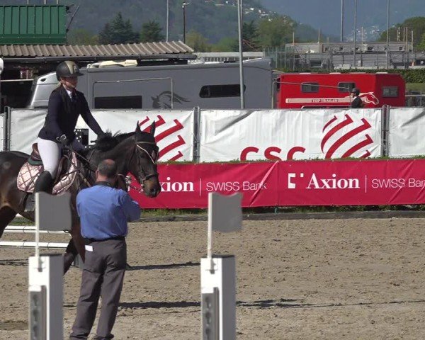 Reitturnier Giubiasco 2024