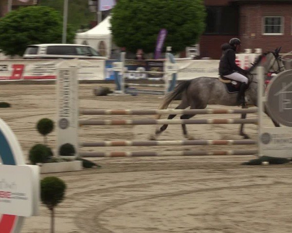 Reitturnier Werne-Lenklar 2024