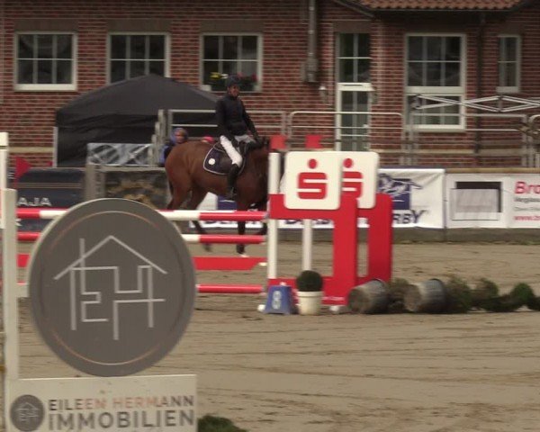 Reitturnier Werne-Lenklar 2024