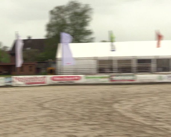 Lenklarer Reitertage Werne 2024