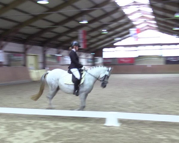 Reitturnier Elisenau 2021