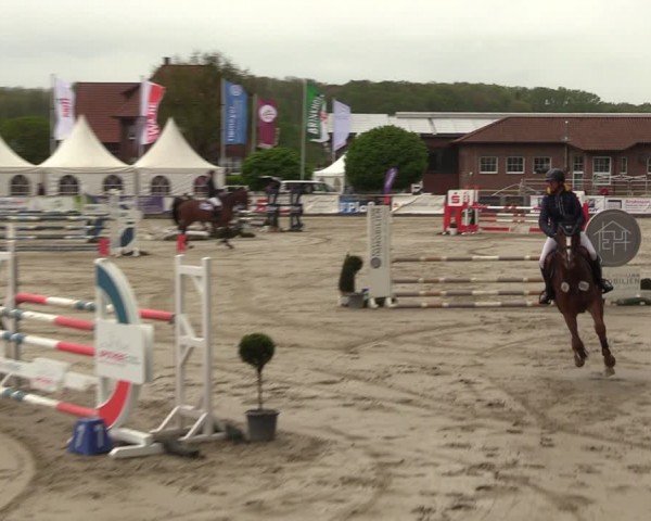 Lenklarer Reitertage Werne 2024