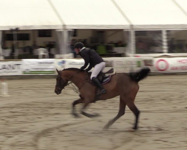 Lenklarer Reitertage Werne 2024