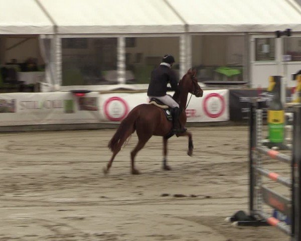 Reitturnier Werne-Lenklar 2024