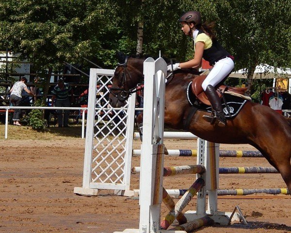 dressage horse Lisa (Pony without race description, 1995, from Unbekannt)