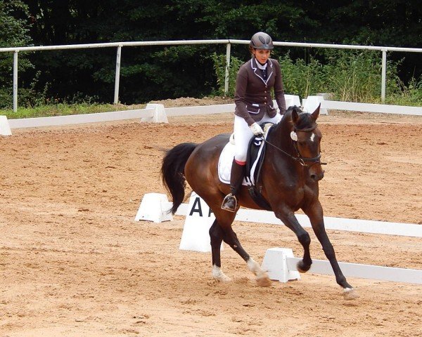 jumper Cyriacus N (Zweibrücken, 2005, from Conterno Grande)
