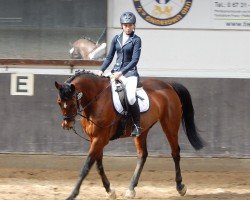 dressage horse Looping 40 (Zweibrücken, 1999, from Lucky Luke)