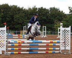 jumper Merlin 1584 (unknown, 2006)