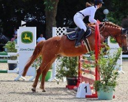 jumper Adje van de Hamakkers (Pony without race description, 2008)