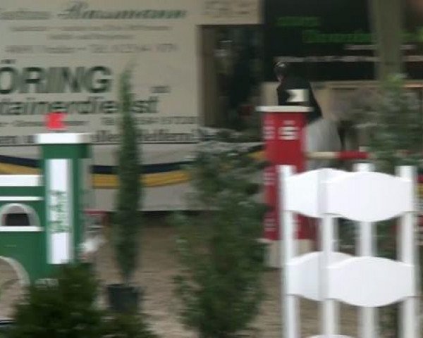 20. Grosses Hallen Springturnier in Vreden