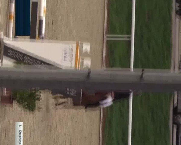 Video of Journee D'Osnard
