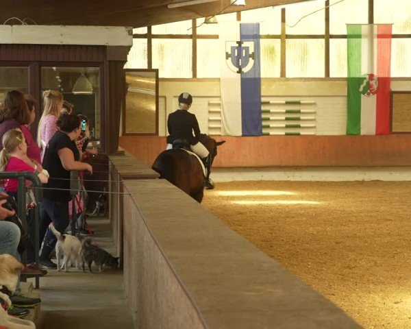 Reitturnier Bottrop 2024