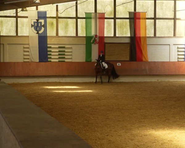 Reitturnier Bottrop 2024