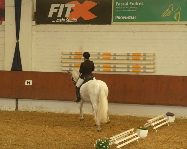 Reitturnier Bottrop 2024