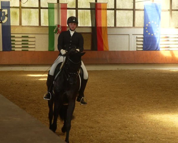 Reitturnier Bottrop 2024
