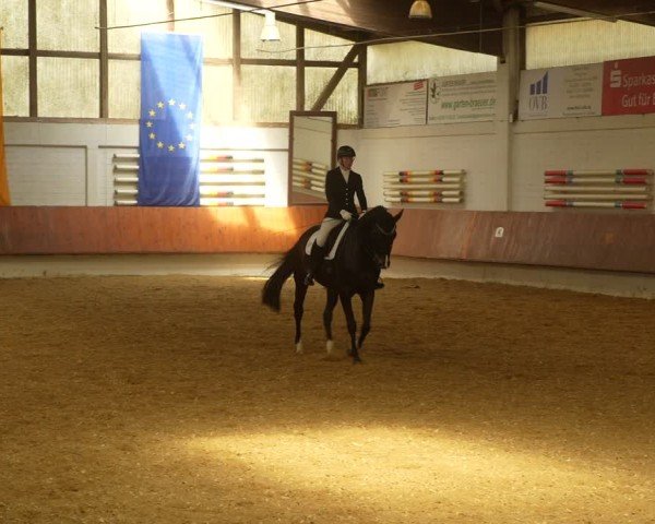 Reitturnier Bottrop 2024