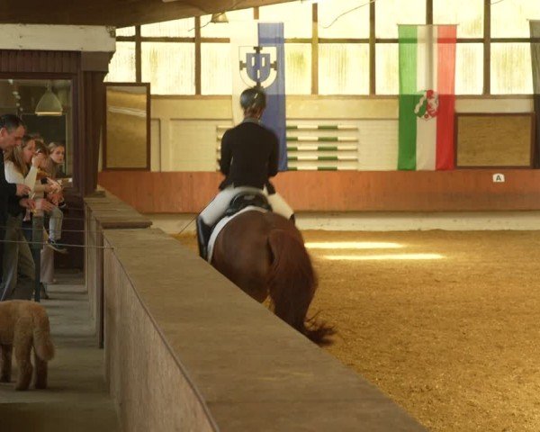 Reitturnier Bottrop 2024