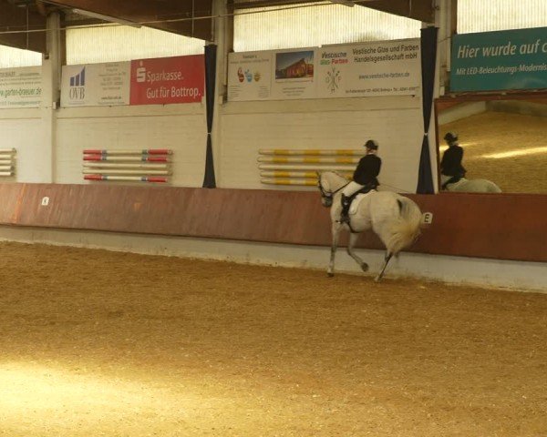 Reitturnier Bottrop 2024