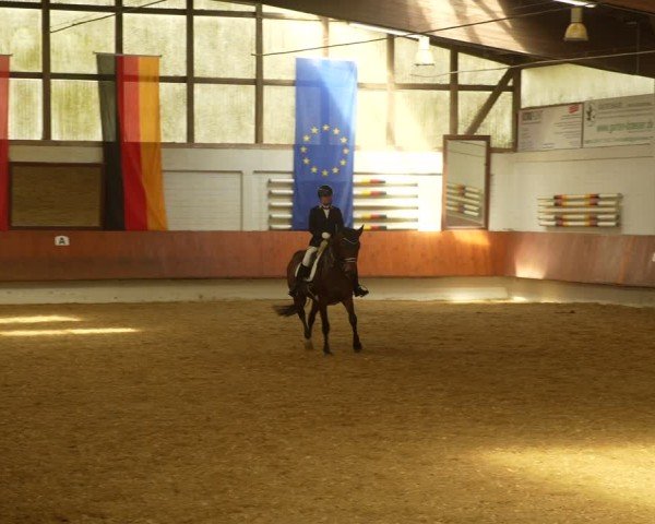 Reitturnier Bottrop 2024