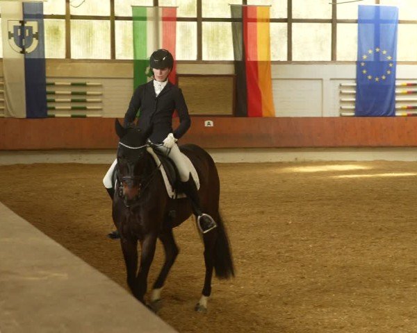 Reitturnier Bottrop 2024
