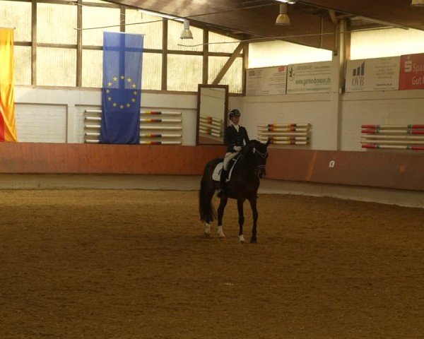 Reitturnier Bottrop 2024