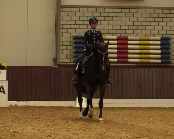 Reitturnier Kirchhellen-RSV Zur Linde 2021
