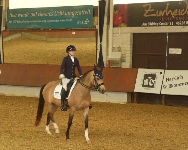 Reitturnier Bottrop 2024