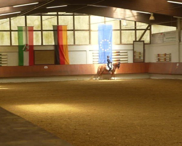Reitturnier Bottrop 2024