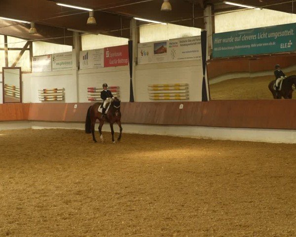 Reitturnier Bottrop 2024