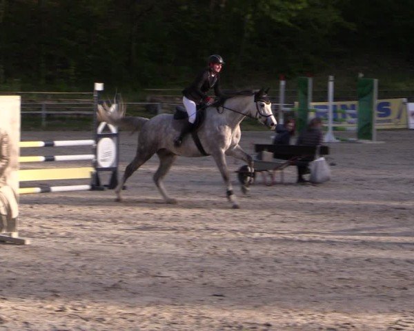 Reitturnier Lgl.-Oberhain, B95 2024
