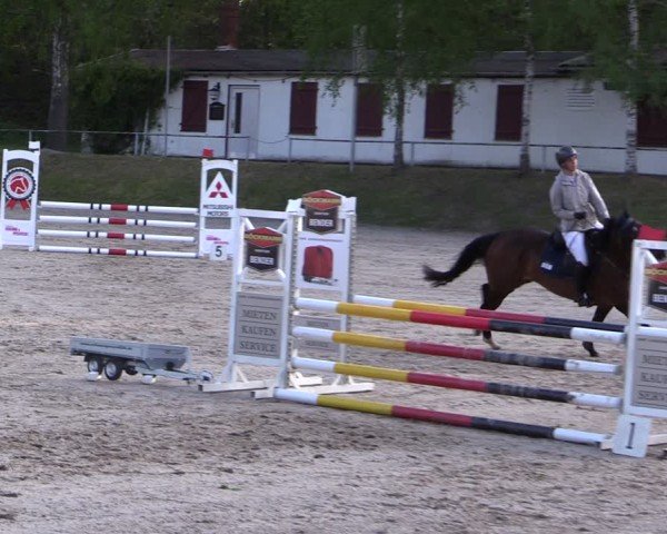 Reitturnier Lgl.-Oberhain, B95 2024