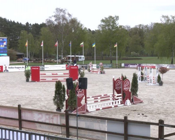 Reitturnier Westergellersen 2024