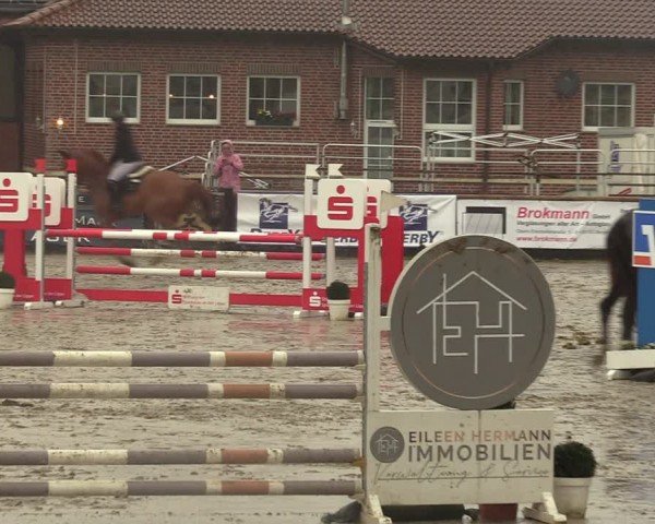 Lenklarer Reitertage Werne 2024