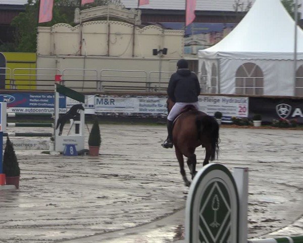 Lenklarer Reitertage Werne 2024