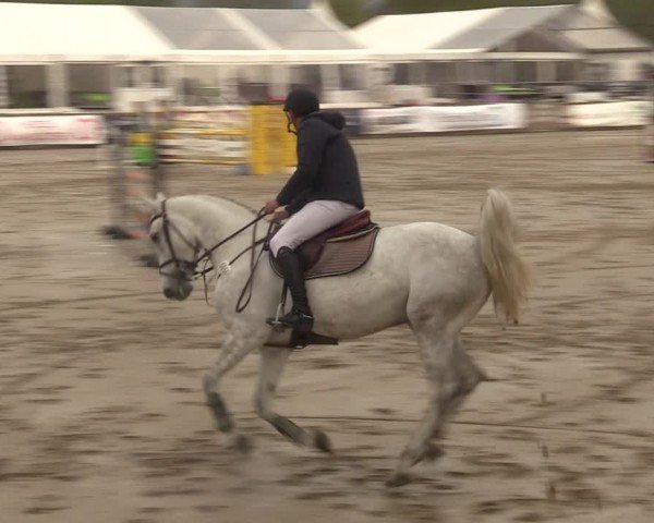 Lenklarer Reitertage Werne 2024