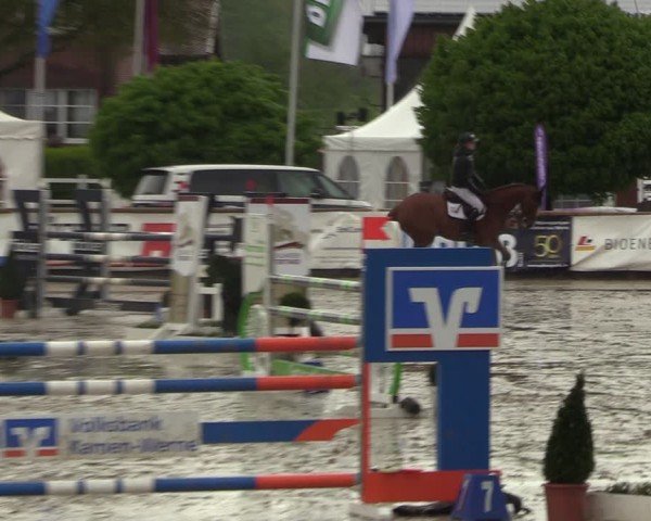 Lenklarer Reitertage Werne 2024